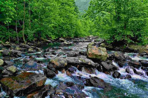 A Guide to Virginia’s Waterfalls: The Best Spots for a Natural Escape ...