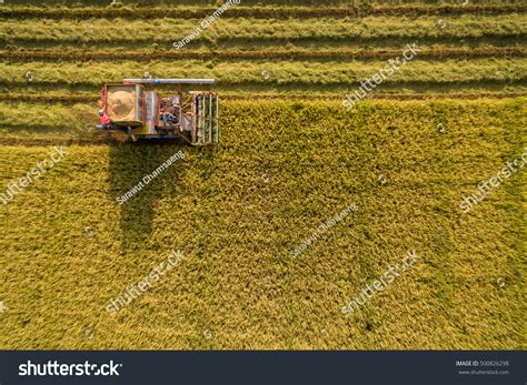 Harvester Machine Harvest Rice Field Working Stock Photo 500826298 ...