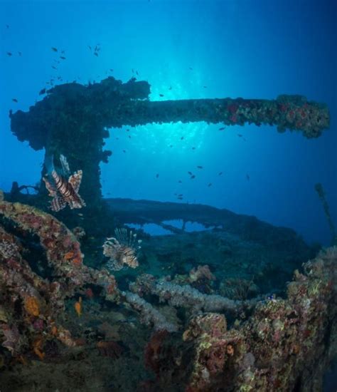 SS Thistlegorm - Dive into history! - Sea Dancer Dive Center