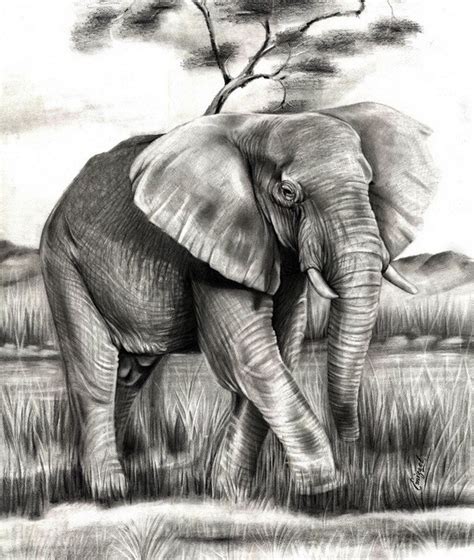 Small elephant drawing - divineWas