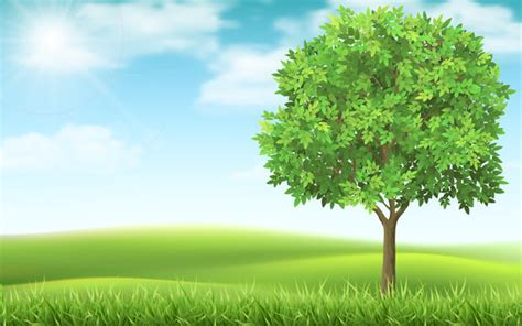 Tree And Grass Background Images – Browse 2,109,290 Stock Photos ...