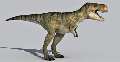 Tyrannosaurus Rex 3d model