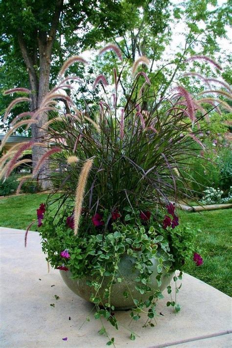 40 Best Ornamental Grasses For Containers (9) | Vertical container ...