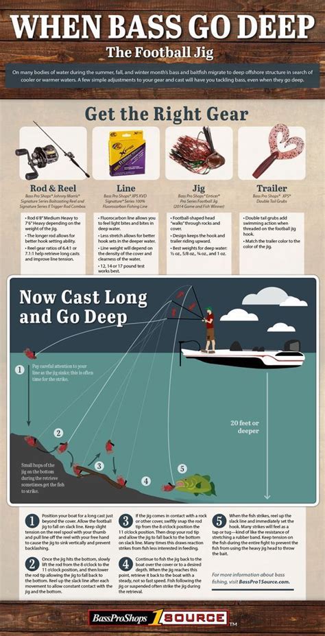 What You Should Do When Bass Go Deep (infographic) | Bass Pro Shops | Bass fishing tips, Fishing ...