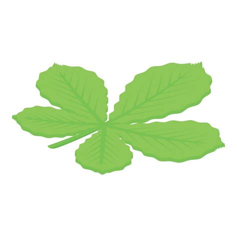 Chestnut leaf icon, isometric style 15649385 Vector Art at Vecteezy