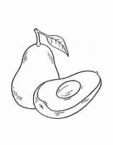 Half And Full Avocado Drawing Coloring Page sketch template