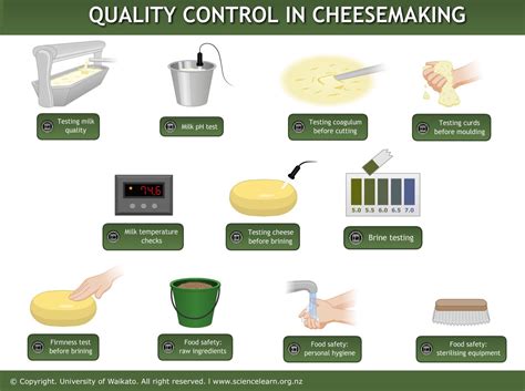 Quality control in cheesemaking — Science Learning Hub