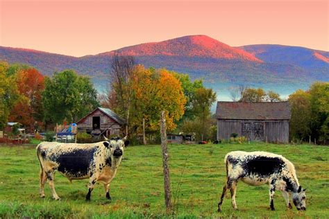 Vermont Fall Foliage Drives - Vermont Begins Here