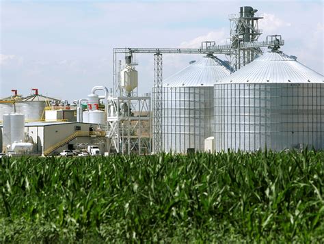 U.S. corn-based ethanol worse for the climate than gasoline, study finds | Reuters