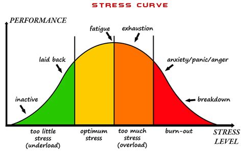 Hans Selye Stress Stages