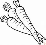 Free Printable Carrot Coloring Pages For Kids  GBcoloring sketch template