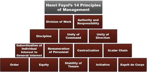 Henri Fayol's 14 Principles of Management - Definition, Features ...