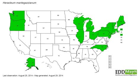 giant hogweed (Heracleum mantegazzianum) - EDDMapS State Distribution