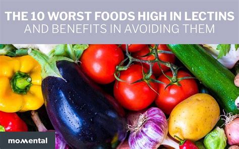 The 10 Worst Foods High in Lectins and Benefits in Avoiding Them ...