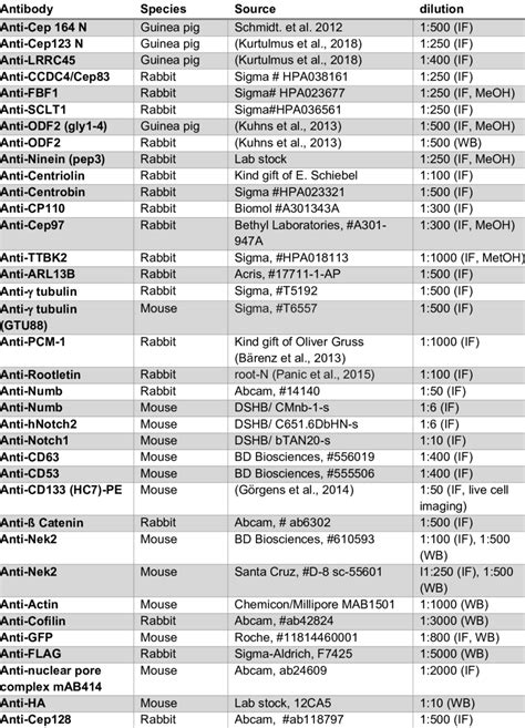 Primary antibodies used in this study | Download Scientific Diagram