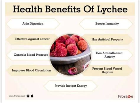 Pin by bo&me on body in 2020 | Lychee benefits, Digestion, Diet and nutrition