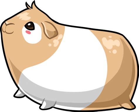 Guinea Pig Clipart - Full Size Clipart (#2649935) - PinClipart