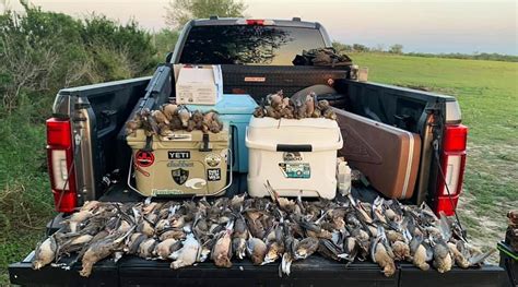 SOUTH TEXAS HUNTING OUTFITTERS | Dove Hunting