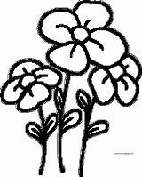 Flower Coloring Page Wecoloringpage 121  Wecoloringpagecom sketch template