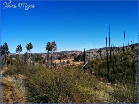 CUYAMACA RANCHO STATE PARK MAP CALIFORNIA - ToursMaps.com