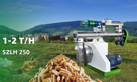 1-2T/H Small Animal Feed Pellet Machine - RICHI Machinery