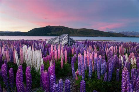 Lake Tekapo Background, Widescreen Lake Tekapo, 2560x1707, #29259