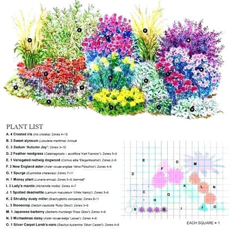 shade shrubs zone 4 garden 5 perennial plans filled with a perennials variety | Flower garden ...