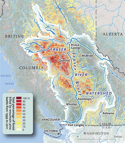 The health of the Fraser River | Canadian Geographic