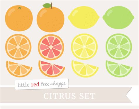 Citrus Fruit Clipart, Fruit Clip Art, Lemon Clipart, Orange Clipart, Grapefruit Clipart, Cute ...