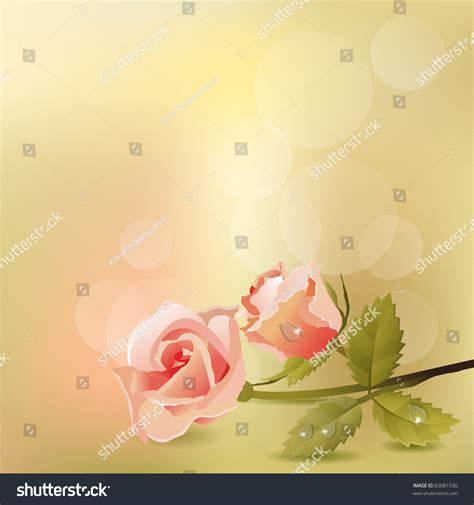 Pastel Background Pink Rose Stock Vector (Royalty Free) 65081530 | Shutterstock