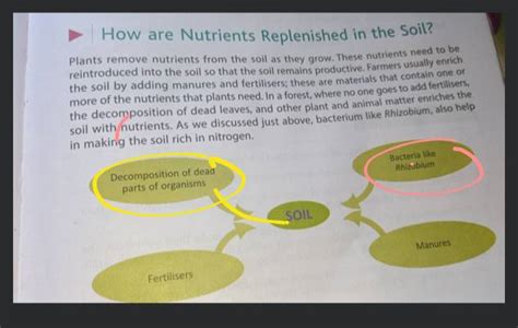 How are Nutrients Replenished in the Soil?Plants remove nutrients from t..