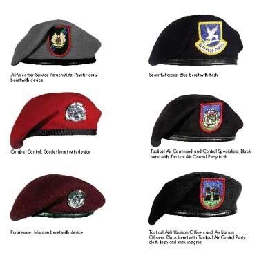 the other black beret is the Tactical Airlift Laision(sp?), damned if ...