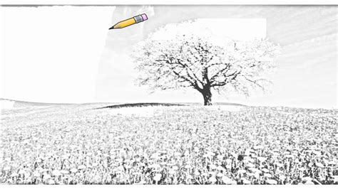 Auto Draw 2: Cherry Tree And Dandelion Meadow, Zug Canton, Switzerland - YouTube