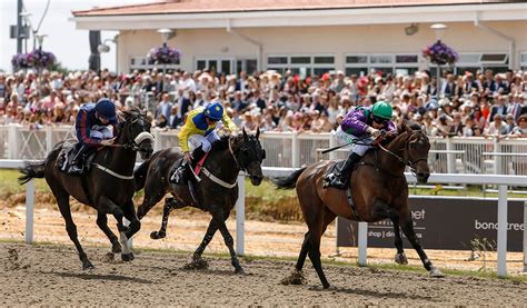 Chelmsford City (All Weather) Statistics - One Stop Racing