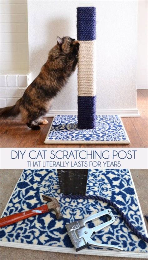 11 Cool DIY Cat Scratchers To Spoil Your Kitty | Diy cat scratcher, Diy cat scratching post, Cat diy