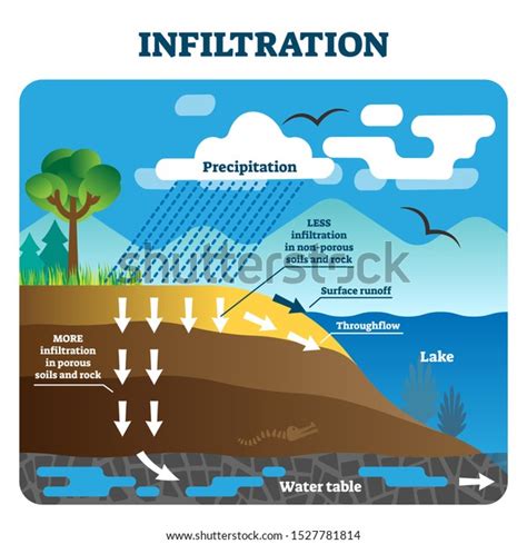 Infiltration Vector Illustration Labeled Natural Precipitation: vetor stock (livre de direitos ...