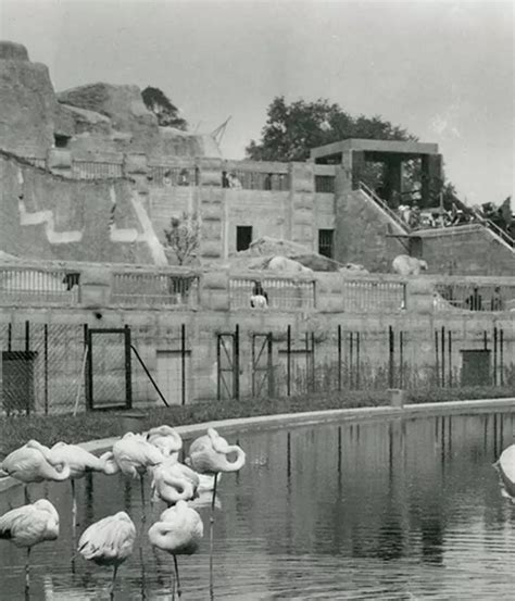 Mappin Terraces and Pavilion | London Zoo