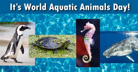 World Aquatic Animals Day