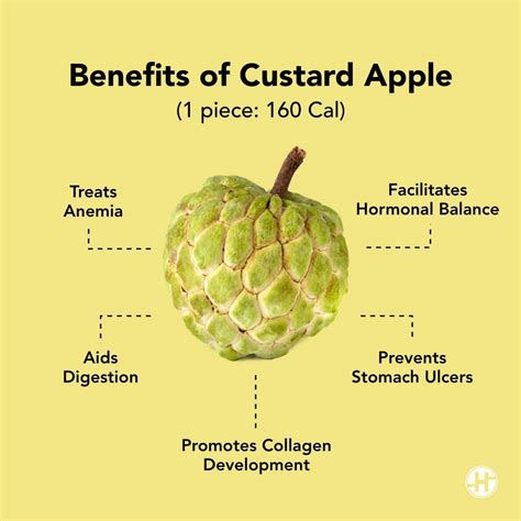 Custard Apple - Benefits, Nutrition Fact & Ways to Consume - KARKEY