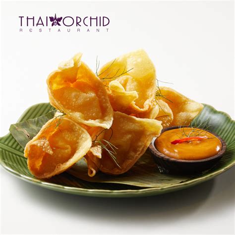 Orchid Wontons - Thai Orchid Restaurant