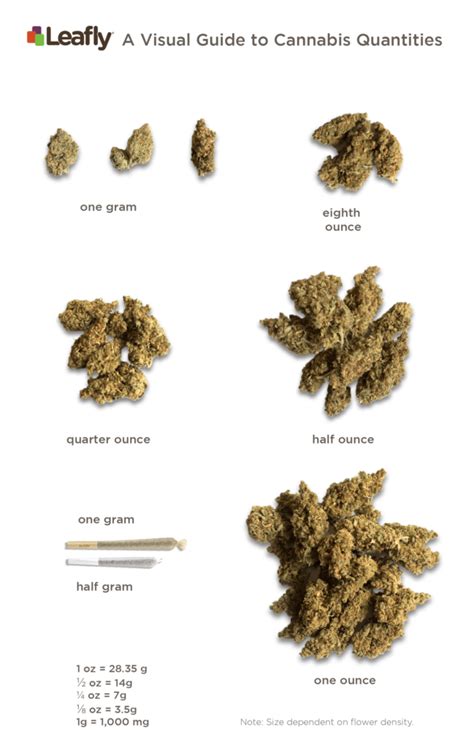 Cannabis Measurements Guide: Weights, Costs, and More - Bud's Goods