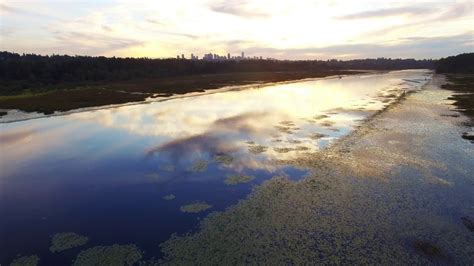 Burnaby Lake, Vancouver, Canada - Drone Photography