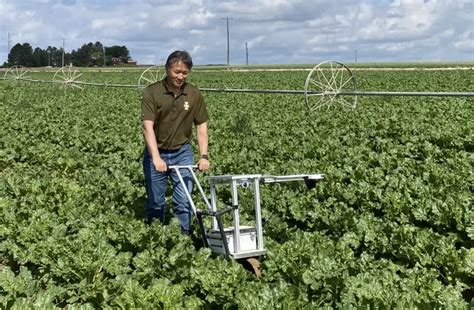 UI Researchers Experimenting On Weeding Robot