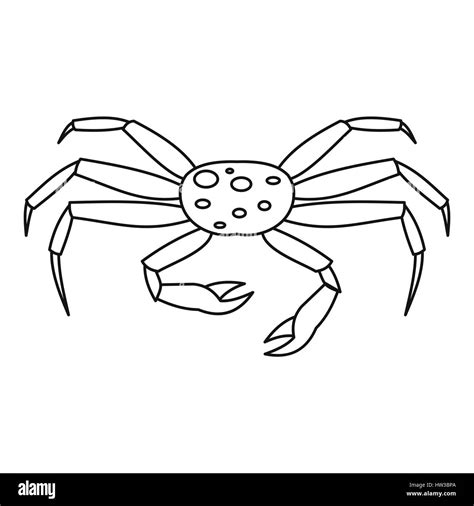 Japanese Spider Crab Facts Anatomy Diet Behavior Habitat