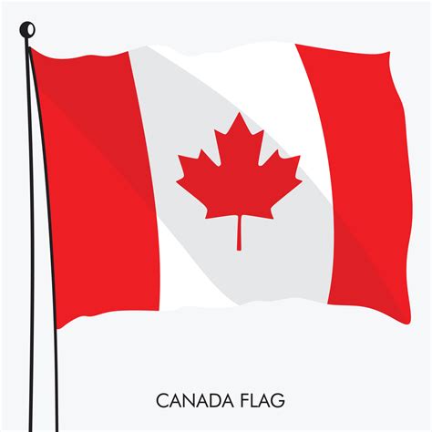 A canadian flag with a maple leaf on it and vector illustration of ...