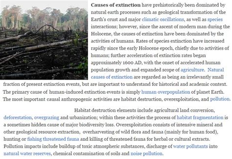 49 best images about Anthropogenic (man-made) extinctions on Pinterest ...