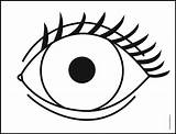 Easy How To Draw An Eye Tutorial And Coloring Page sketch template