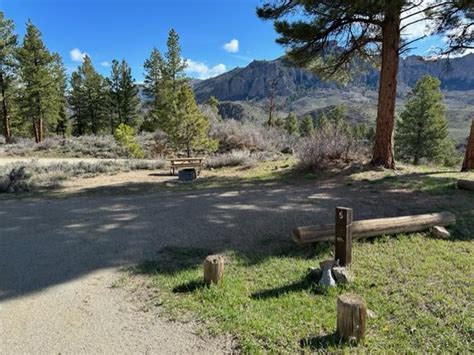 Site 5, Ponderosa Campground (CO) - Recreation.gov