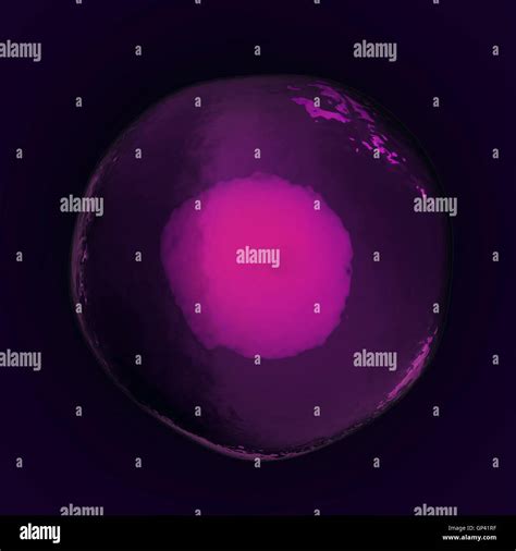 Animal cell cycle mitosis hi-res stock photography and images - Alamy