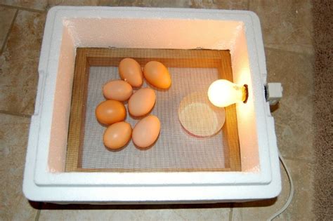 DIY Homemade Incubator